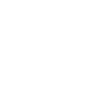 Logo marki CarPro