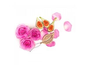 101 197361551 1467993583550889 6587368773038027096 n big