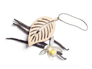 the leaf wanilia big